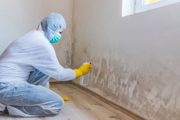 Mold inspector in Cabin John performing thermal imaging